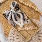 Bees and Leopard Junk Bow